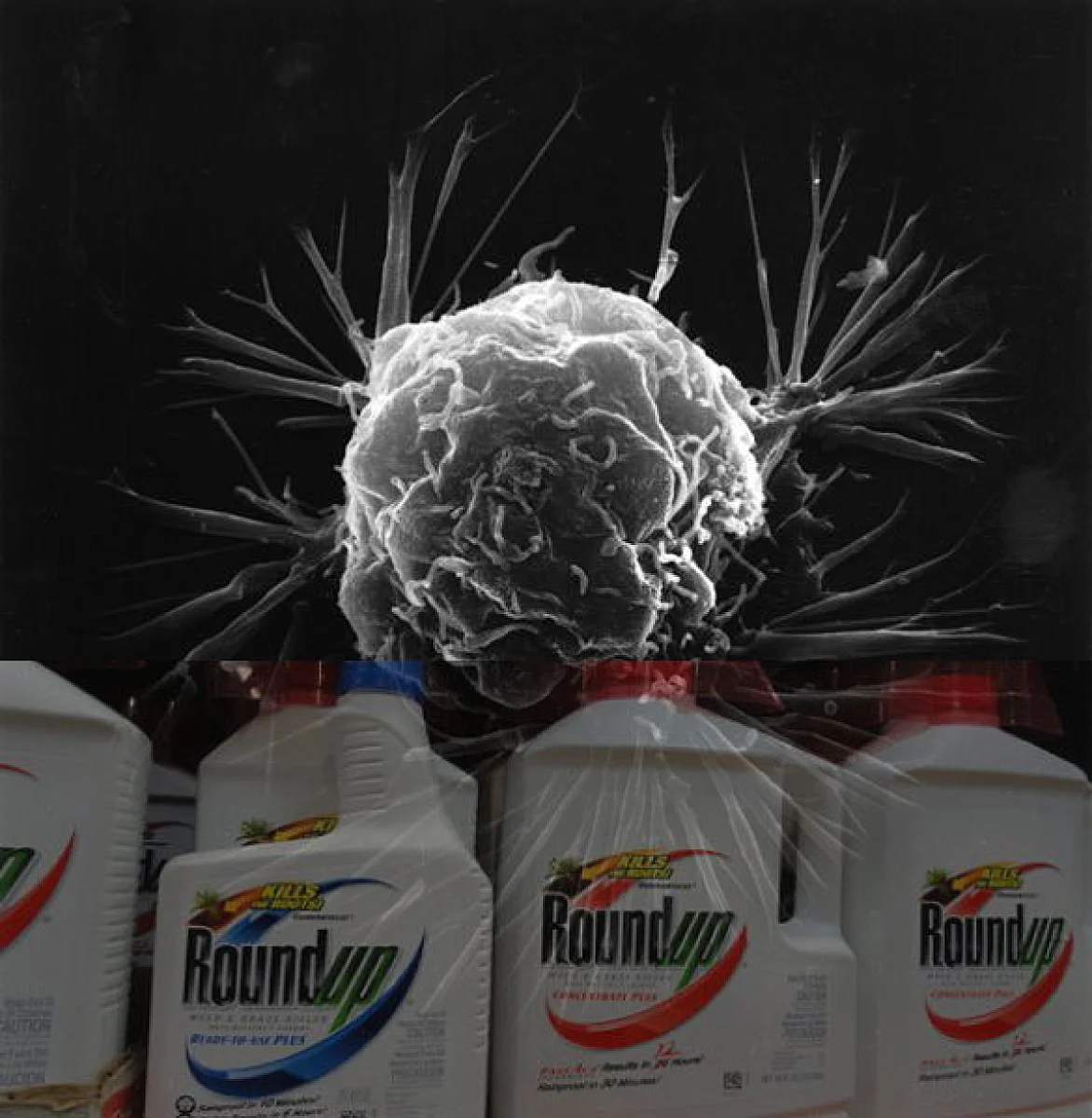 Scientists: Roundup Weedkiller Could Help Fight Cancer