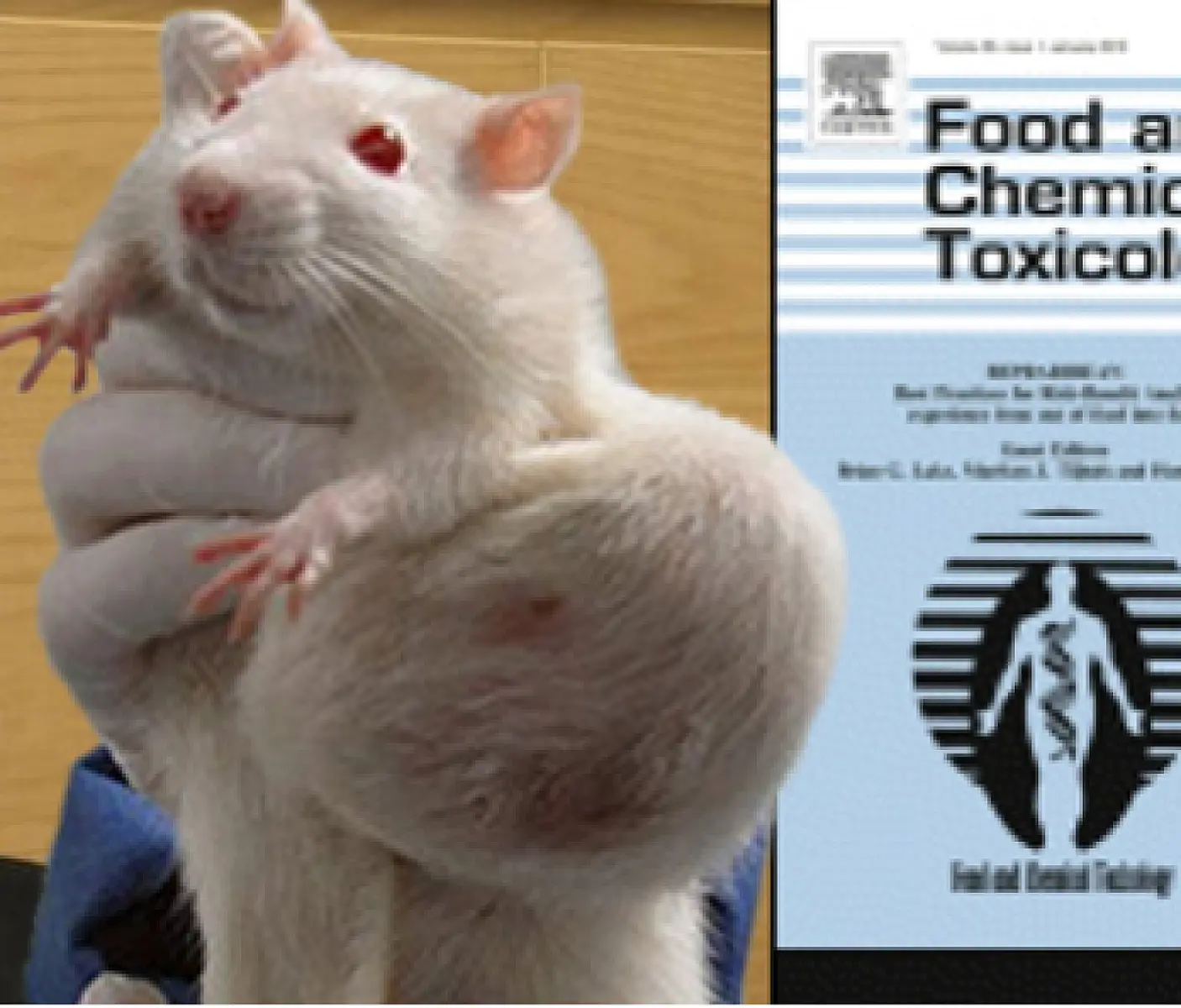 Journal Retraction of Séralini GMO-Cancer Study Is Illicit, Unscientific, and Unethical