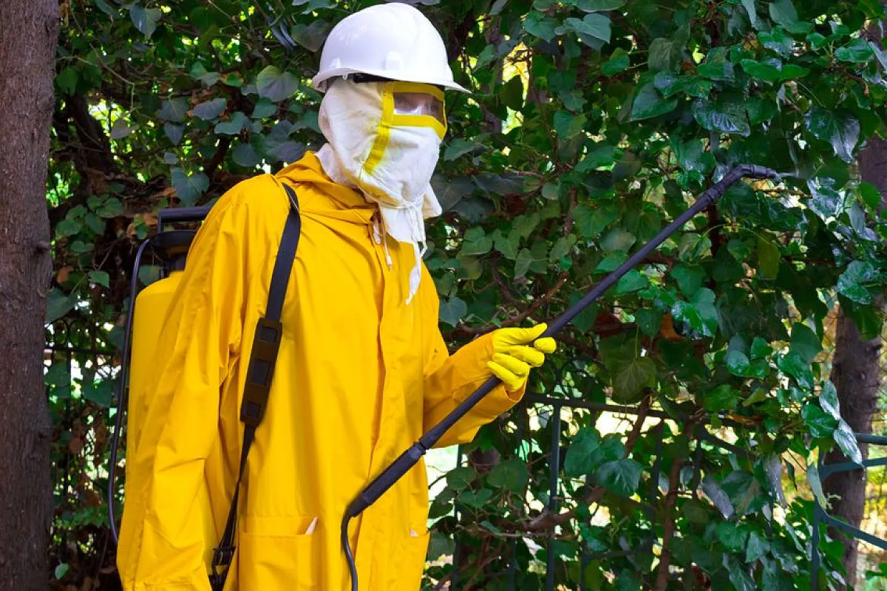 Roundup Herbicide: 'The Most Toxic Chemical In the Environment'