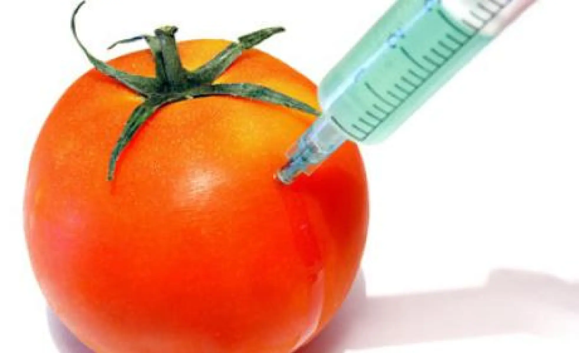 New Research: GMO Food Far Worse Than We Think