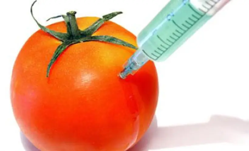 New Research: GMO Food Far Worse Than We Think
