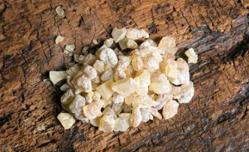 Frankincense Superior to Chemotherapy in Killing Late-Stage Ovarian Cancer Cells