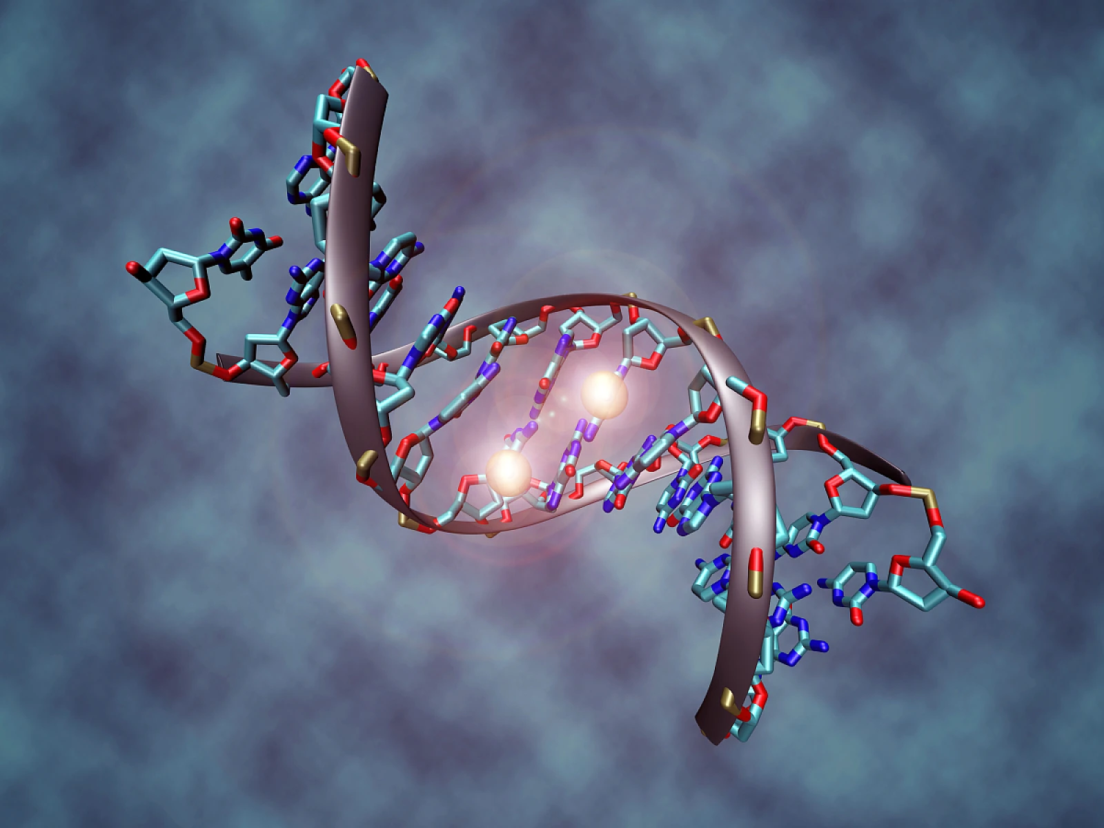 Methylwho? Why You Should Know About Methylation