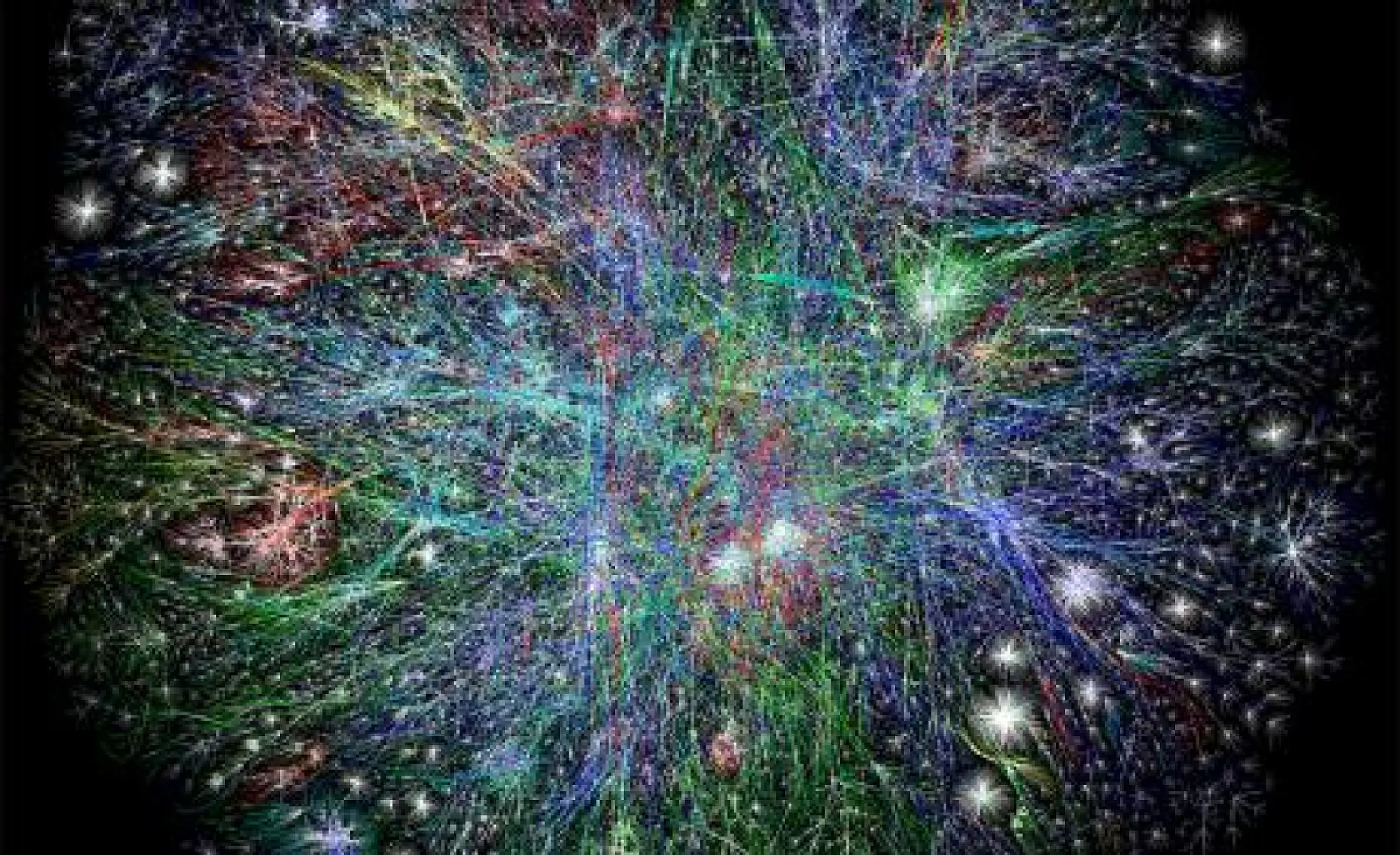 Are Fungi the Earth's Natural Internet?