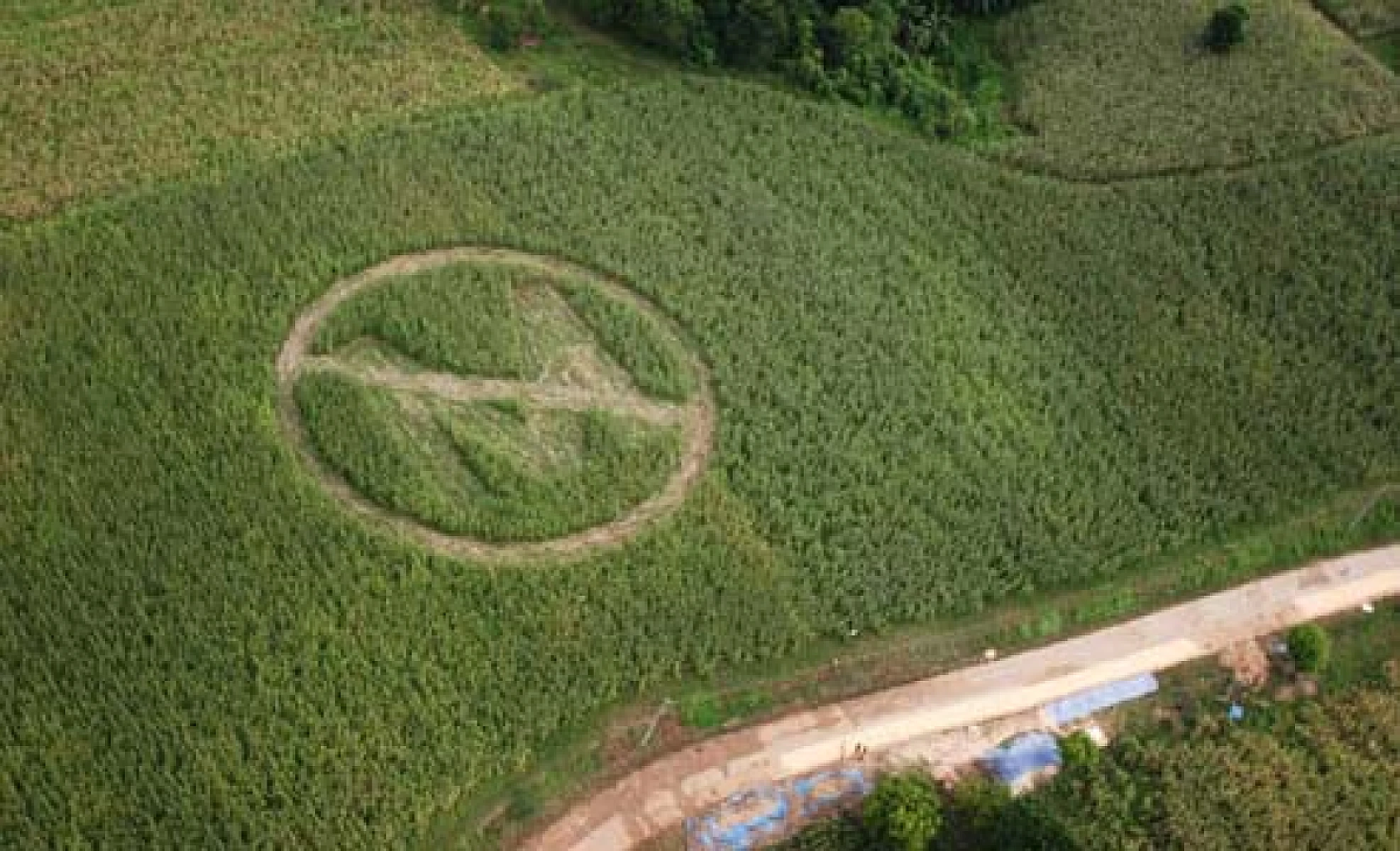 Monsanto Winter Offensive Strikes India, China and Russia