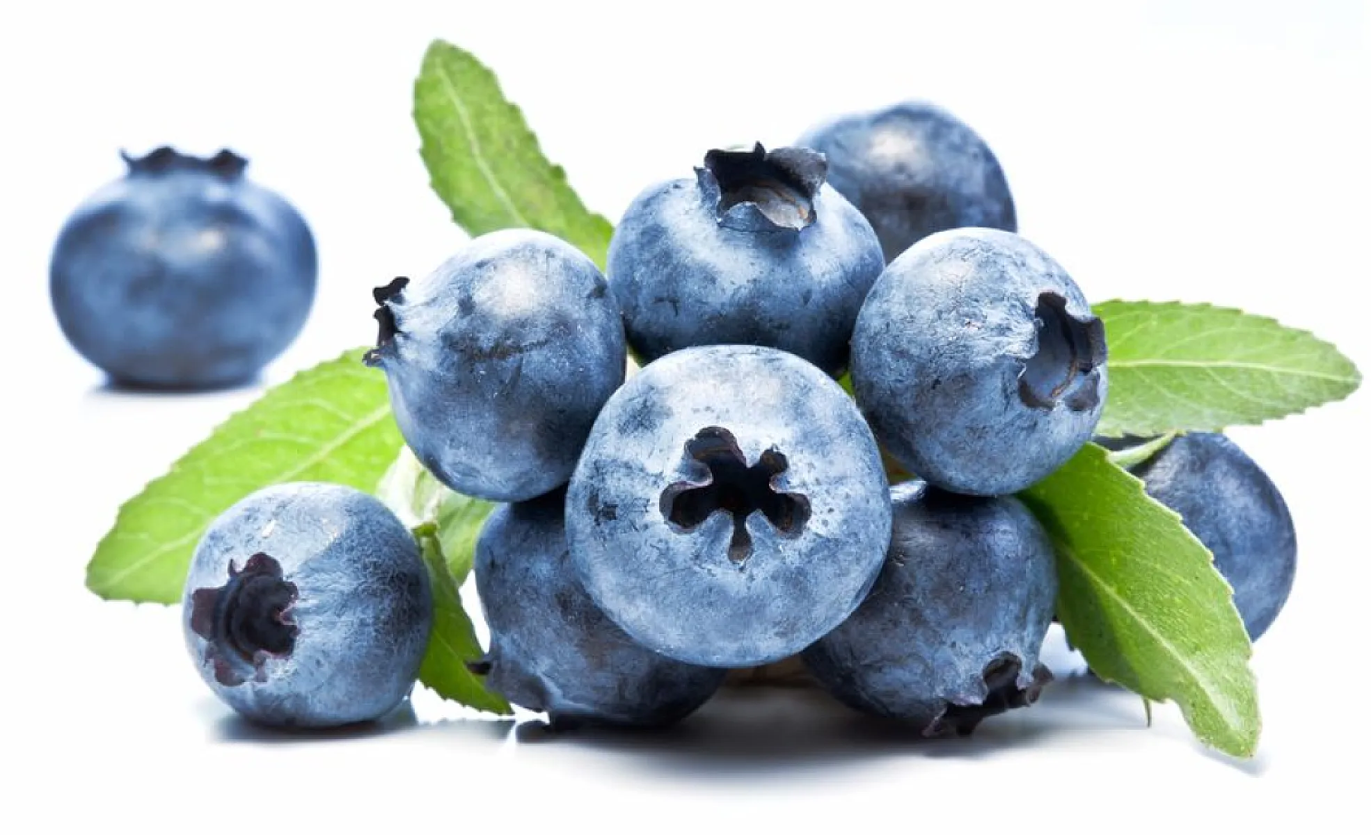 Wild Blueberry Polyphenols Improve Vascular Function