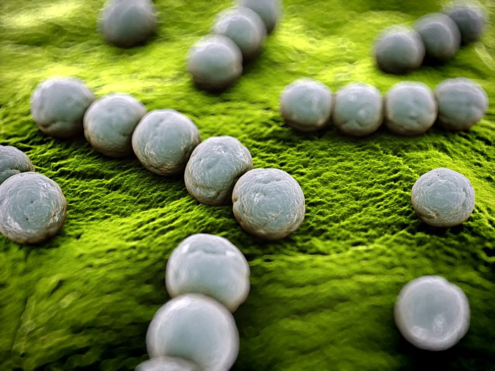 C.R.A.P.: Medicine’s Most Perfect and Important Acronym