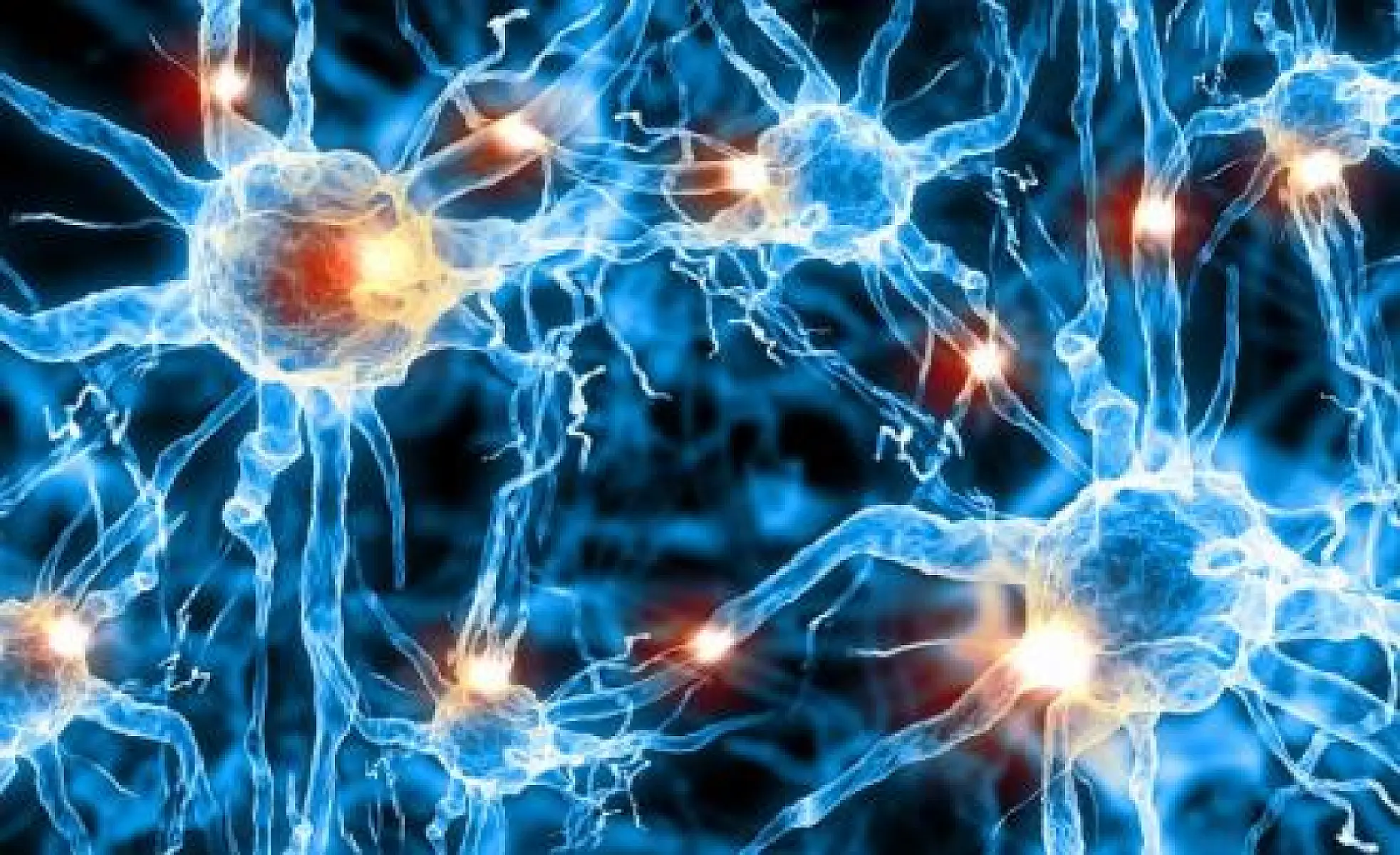 Psychobiotics: Bacteria for Your Brain? 