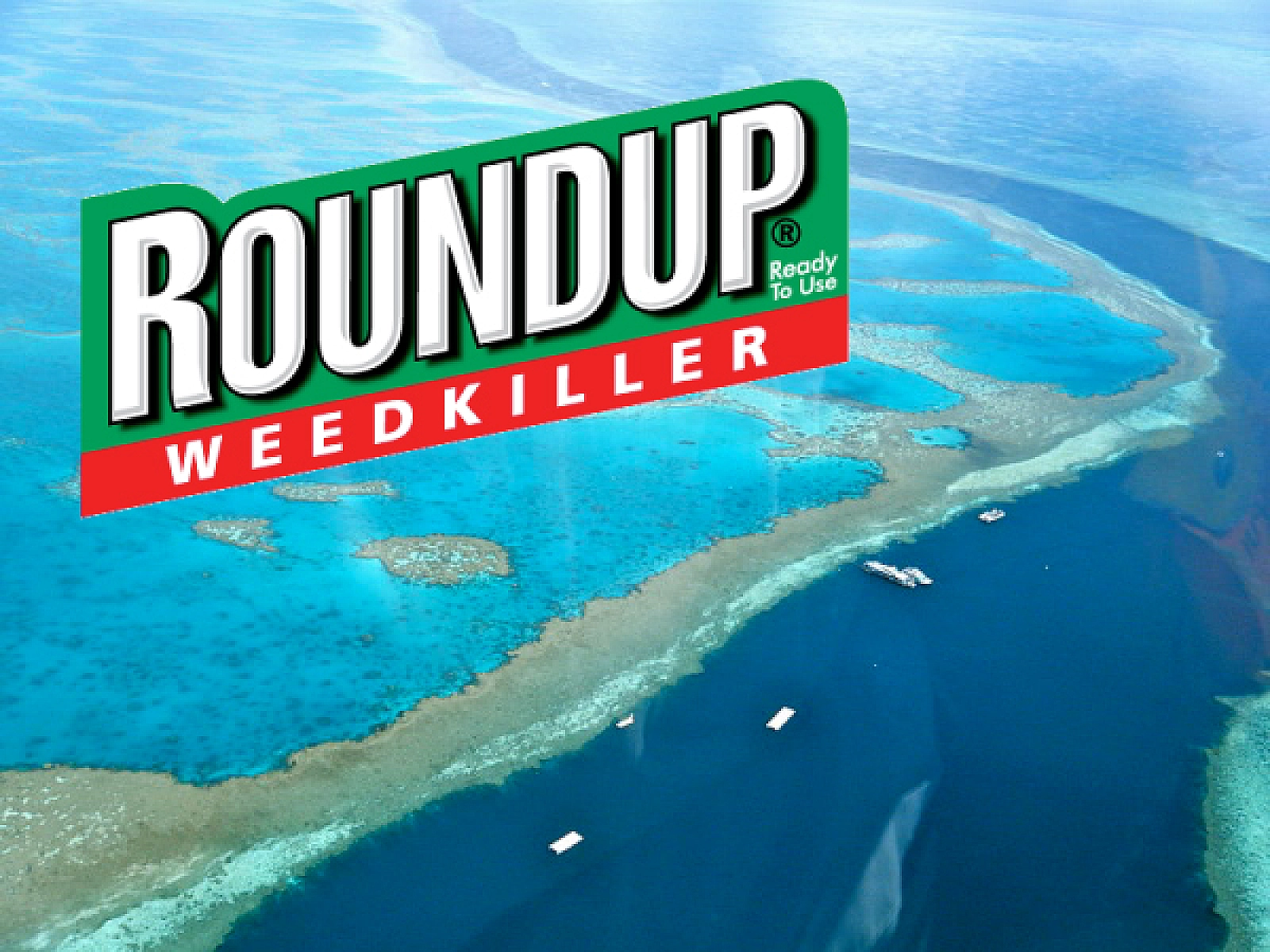 Roundup 'Weed Killer' Threatens Coral Reefs, Persists In Seawater