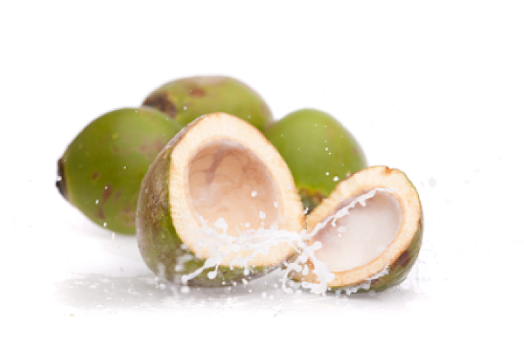 FAIL: Merck's Statin Drug Found No Better Than Coconut Water