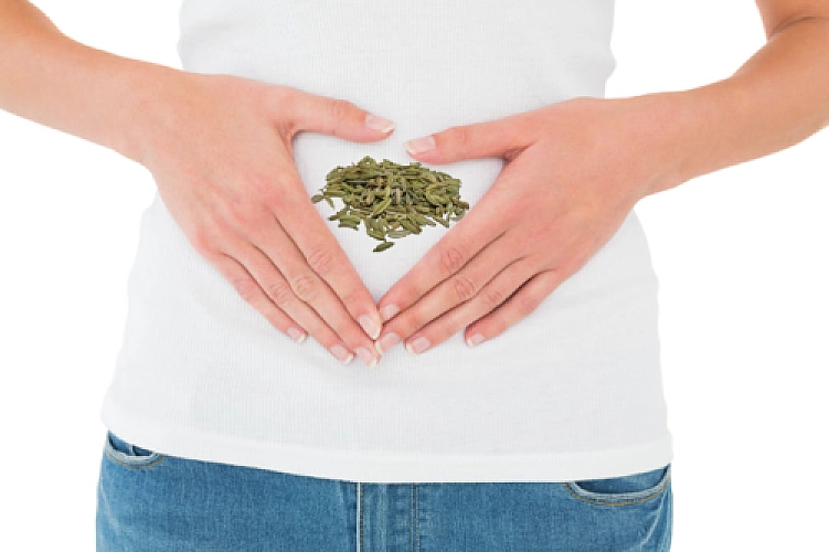 Fennel: Evidence-Based Drug Alternative for Menstrual Cramps