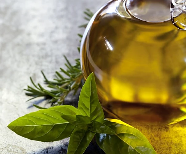Can Wild Oregano Oil Provide Relief From Engineered Diseases?