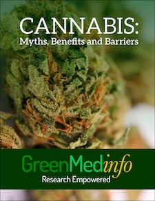 Cannabis: Myths, Benefits and Barriers