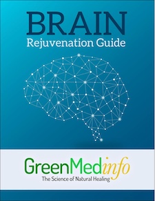 Brain Rejuvenation Guide