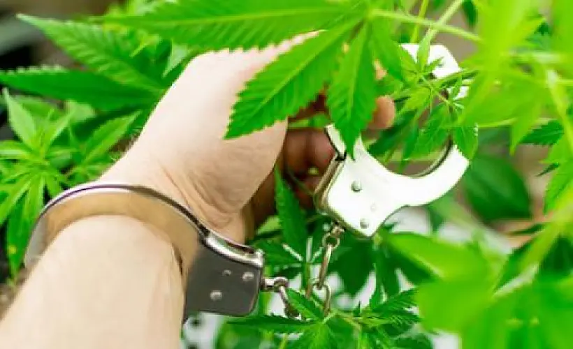 Why the Law Forbids the Medicinal Use of Natural Substances