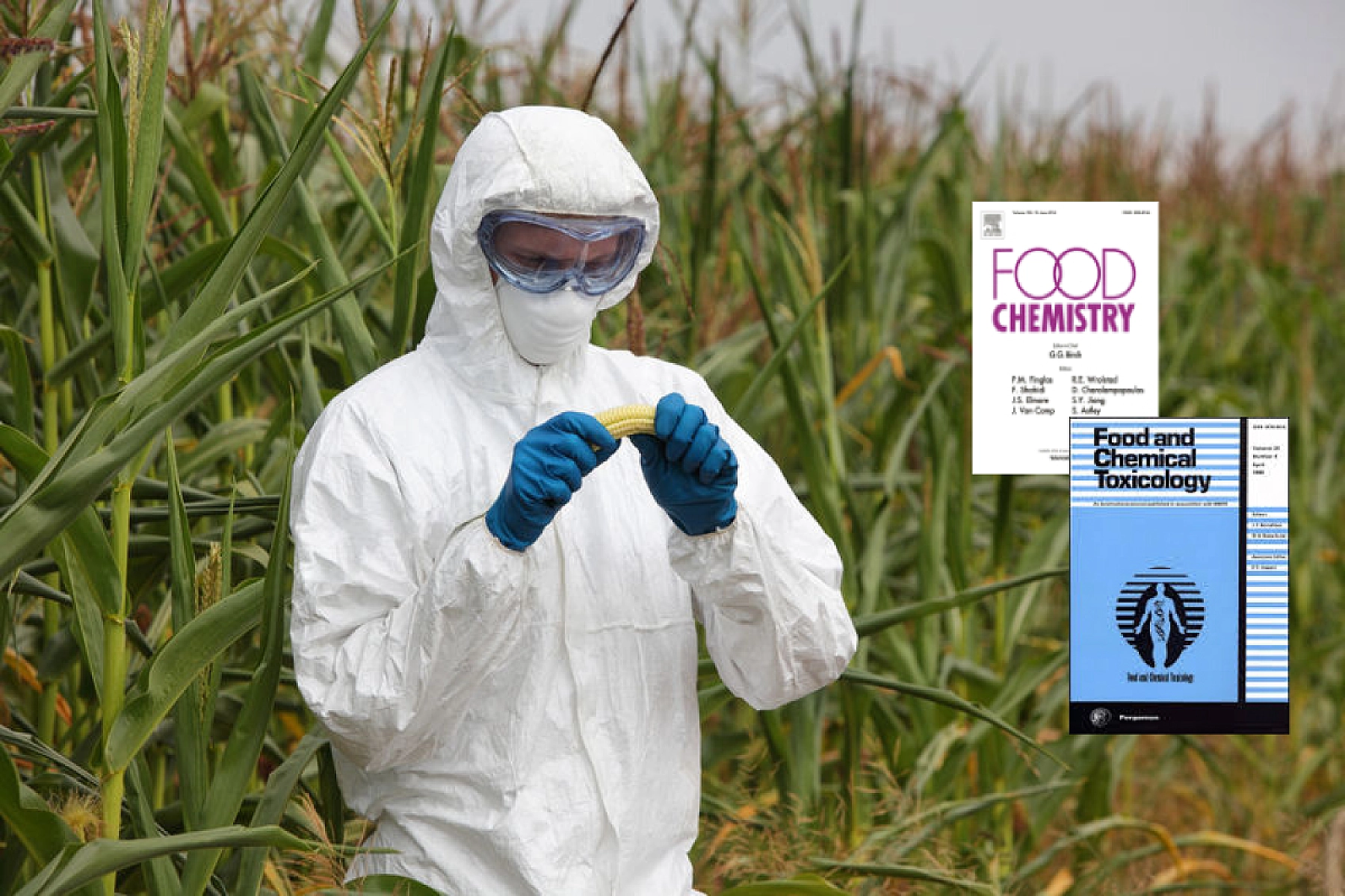 New GMO Studies Demonstrate 'Substantial Non-Equivalence'