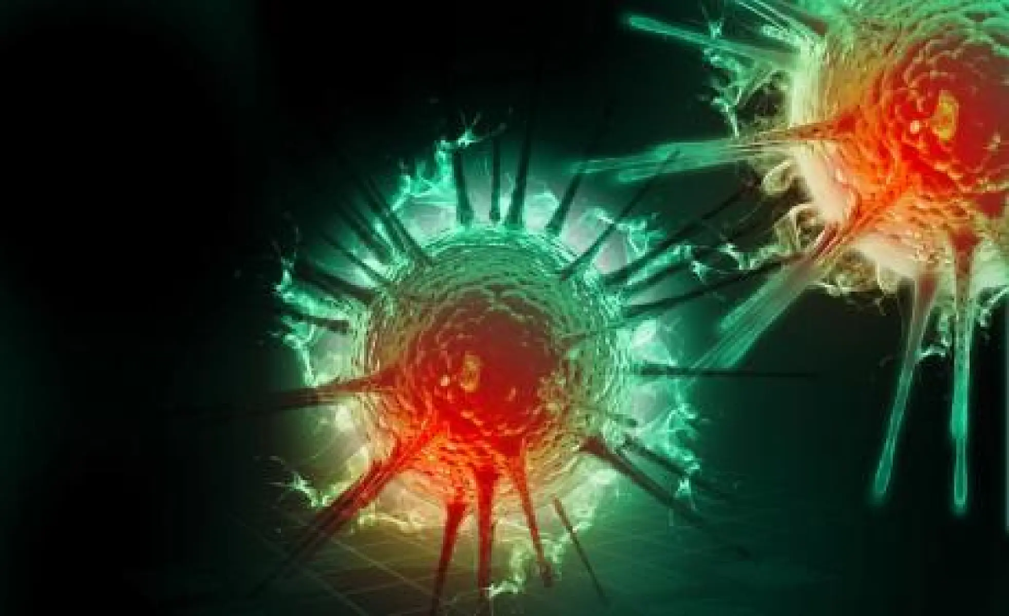Herbal Cream Clears 87.7% of HPV Cases Naturally
