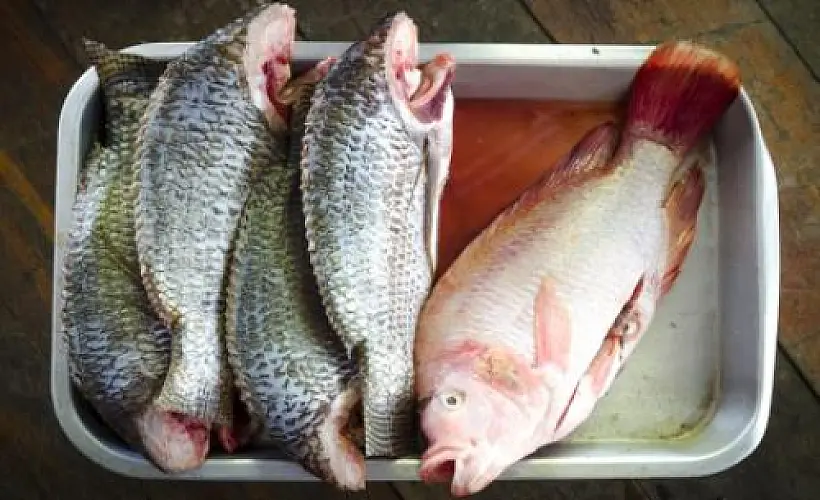 Aluminum Eliminated as a Food Additive for Fish: Norway Codex Update