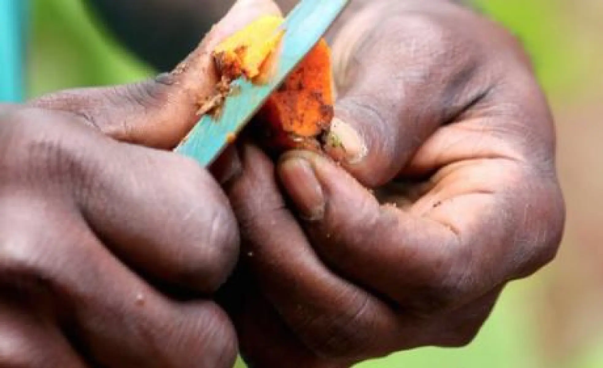 How Turmeric Can Save the Aging Brain From Dementia and Premature Death