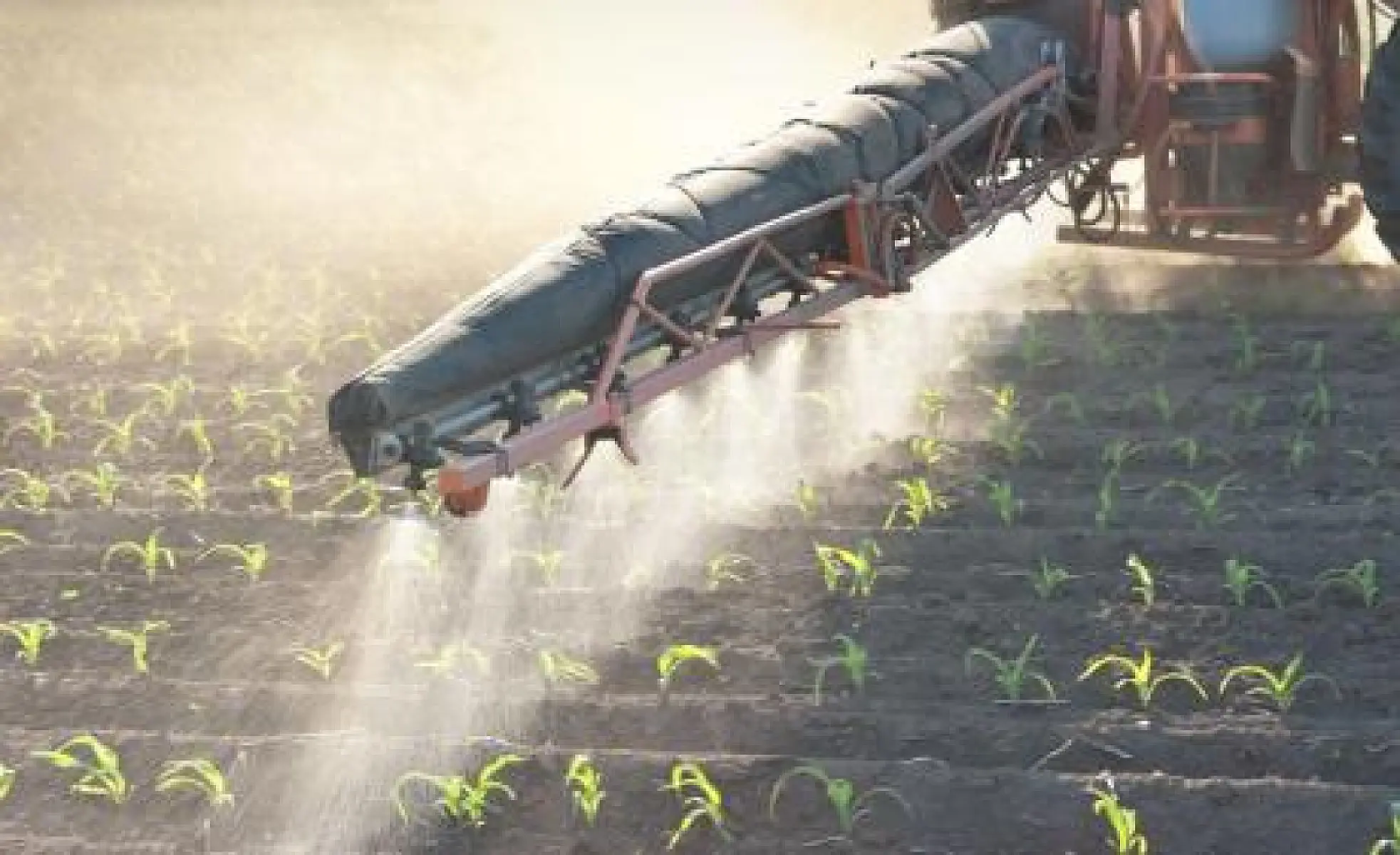How "Extreme Levels" of Roundup in Food Became the Industry Normal