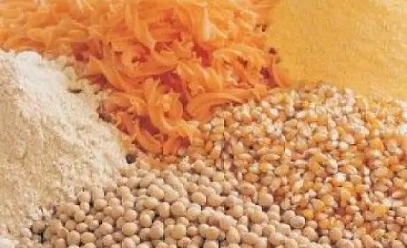 Going Against the Grain Towards Better Health