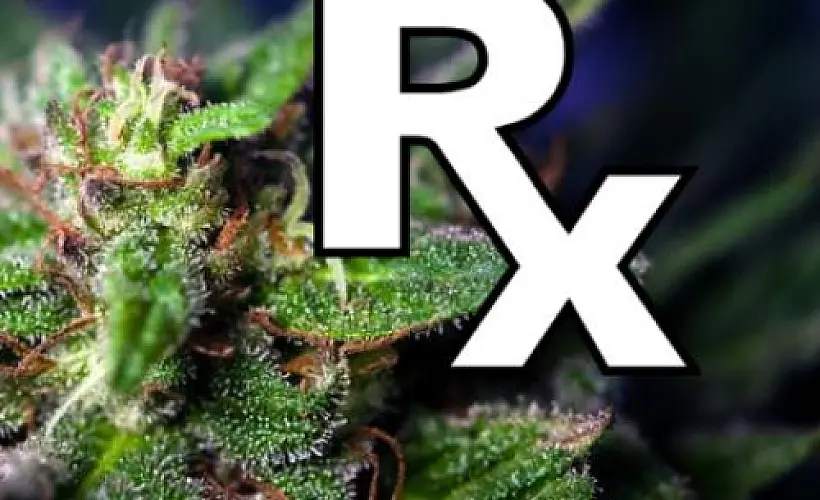 Cannabis Extract Fights 'Incurable Form' of Leukemia
