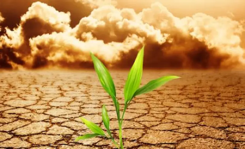 Un-Earthed: Is Monsanto's Glyphosate Destroying the Soil?