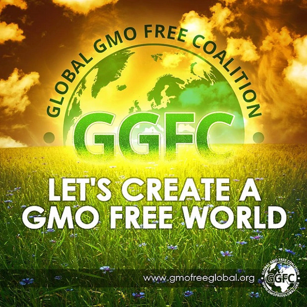 Global GMO Free Coalition Brings Together 4.5 Million People to Fight Biotech Industry Propaganda
