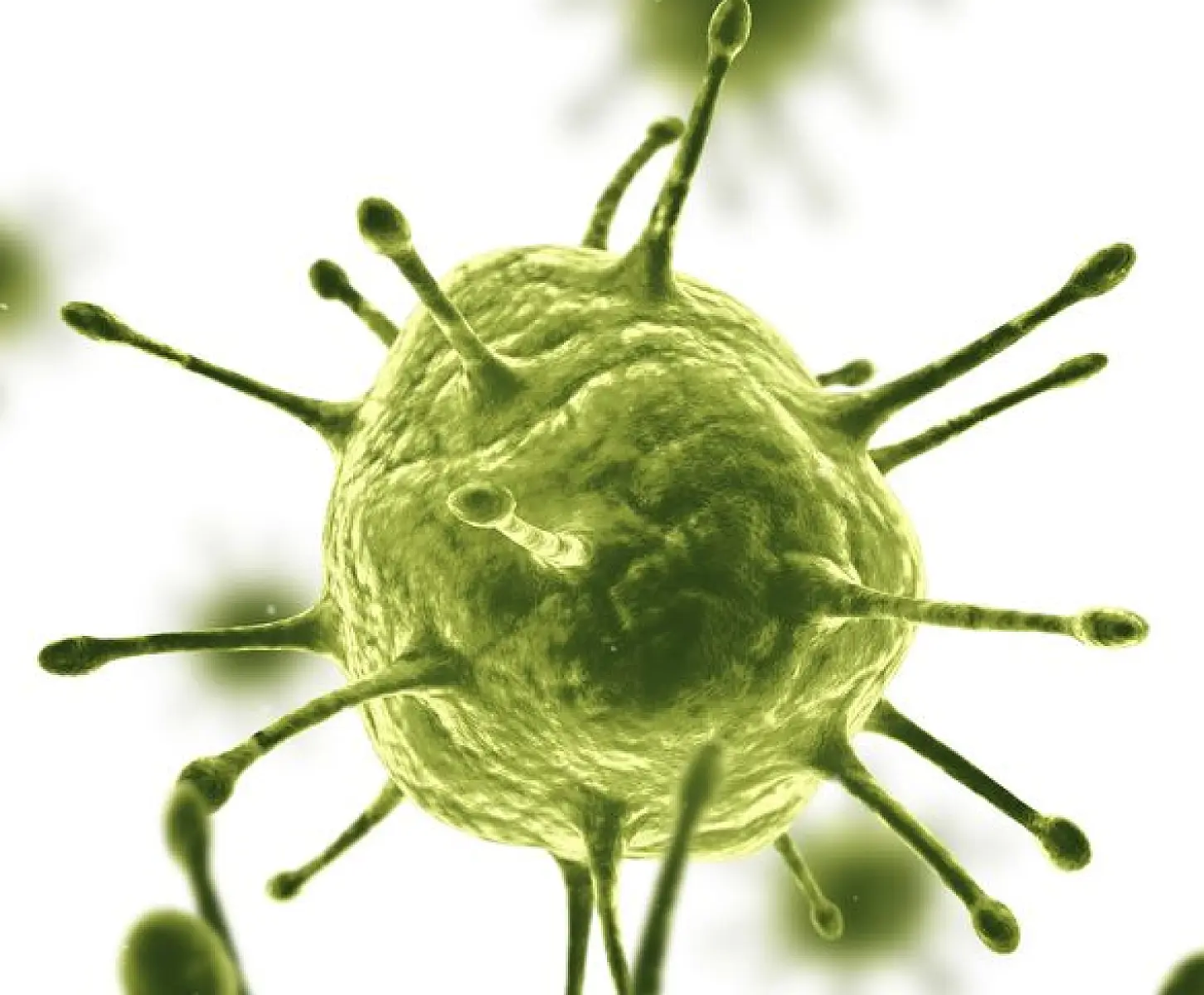 Genetically Engineered HIV Vaccine INCREASED Risk of HIV Infection