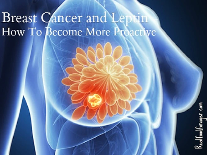 Breast Cancer and Leptin – How to Become More Proactive in Prevention