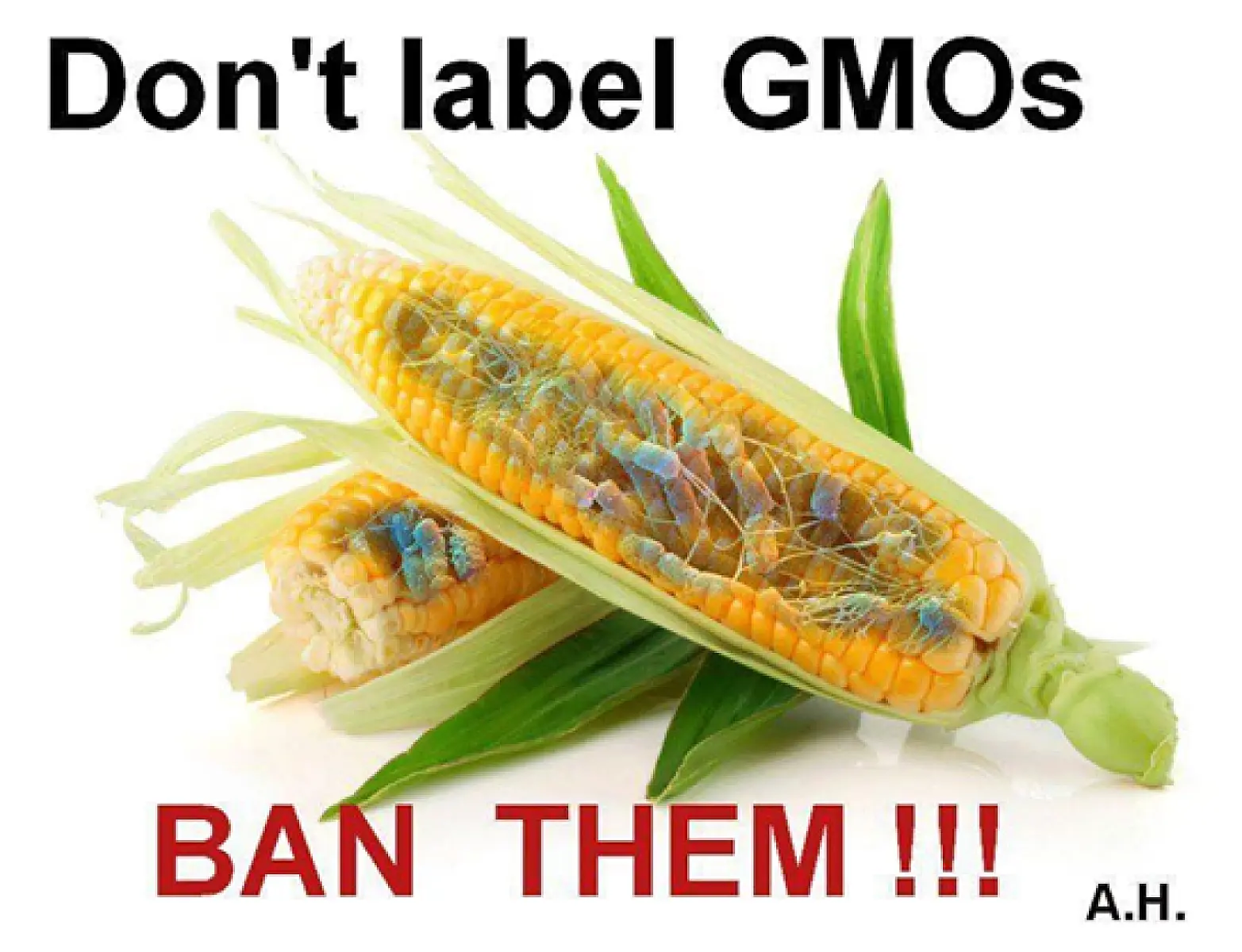 New Study Shows Why Roundup Herbicide (Glyphosate) Should Be Banned