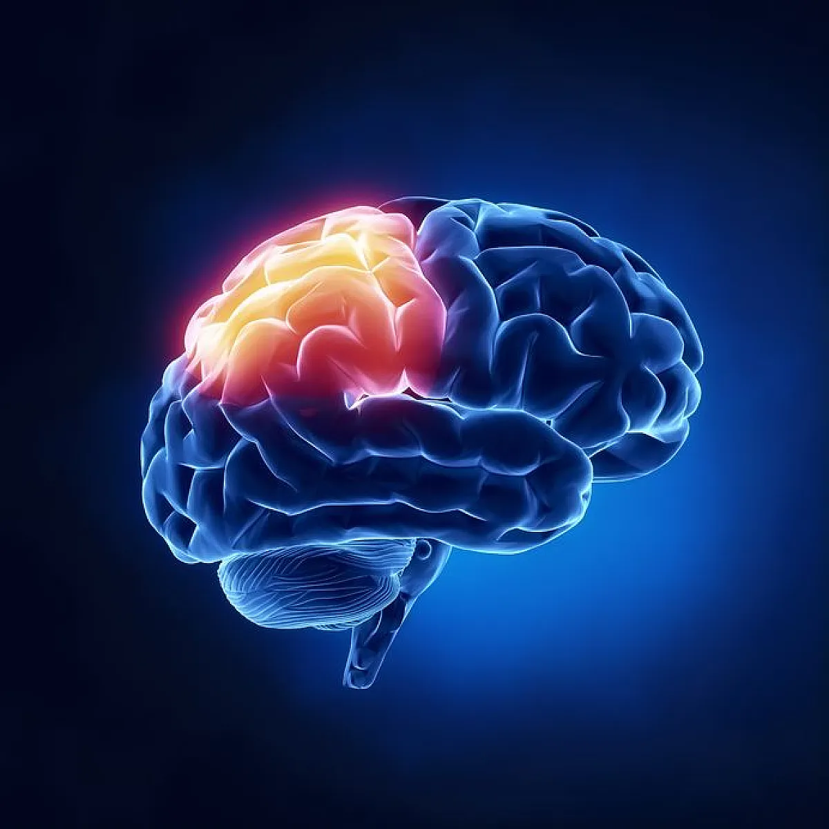 What We Didn't Know About the Brain That Changes Everything
