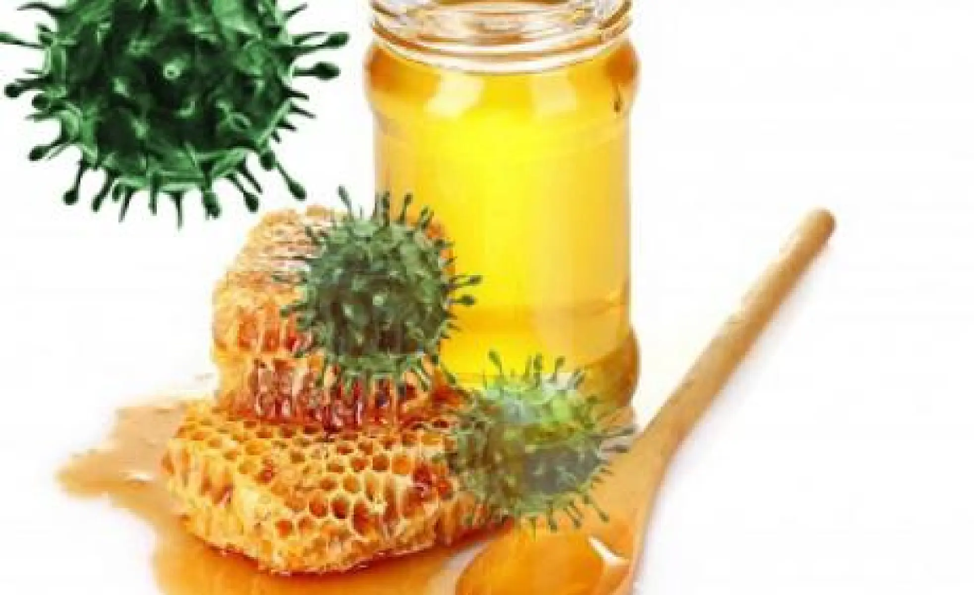 Honey Found To Have Potent Anti-Influenza Activity