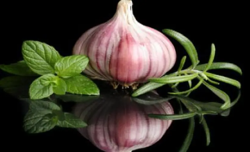 Garlic Cures 100% of Warts In Clinical Study