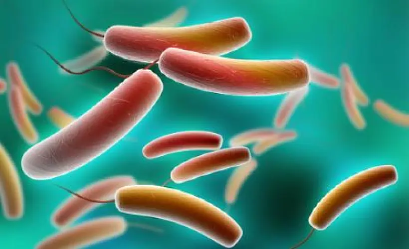 7 Ways Probiotics DETOXIFY Your Body