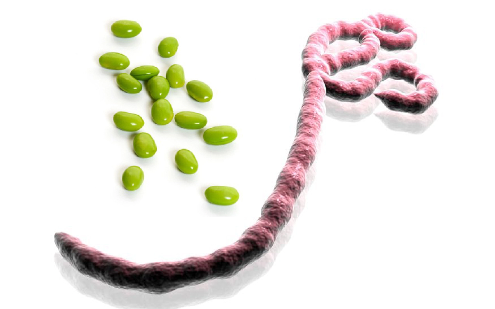 Natural Treatments for Ebola Virus Exist, Research Suggests