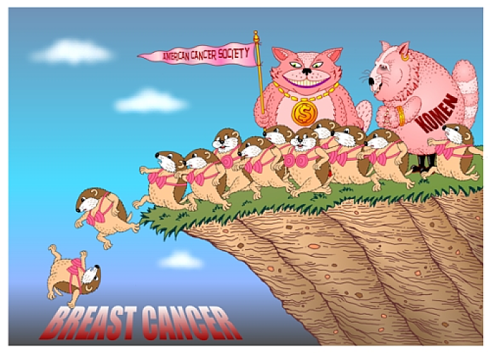 Boycott of Komen Foundation and American Cancer Society