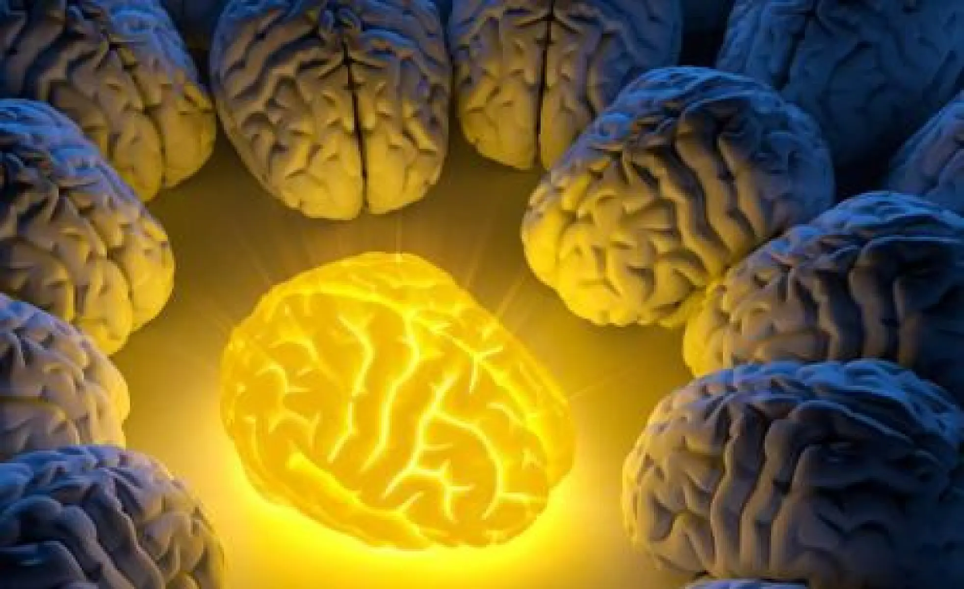 How WHOLE Turmeric Heals the Damaged Brain