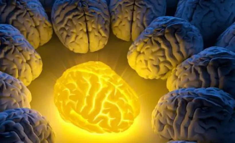 How WHOLE Turmeric Heals the Damaged Brain