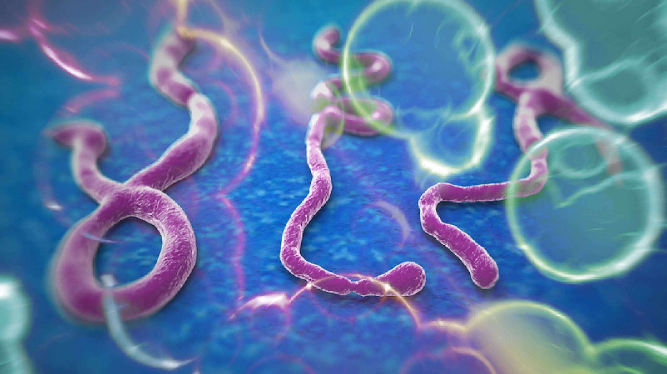 Your Best Strategy in the Face of Ebola