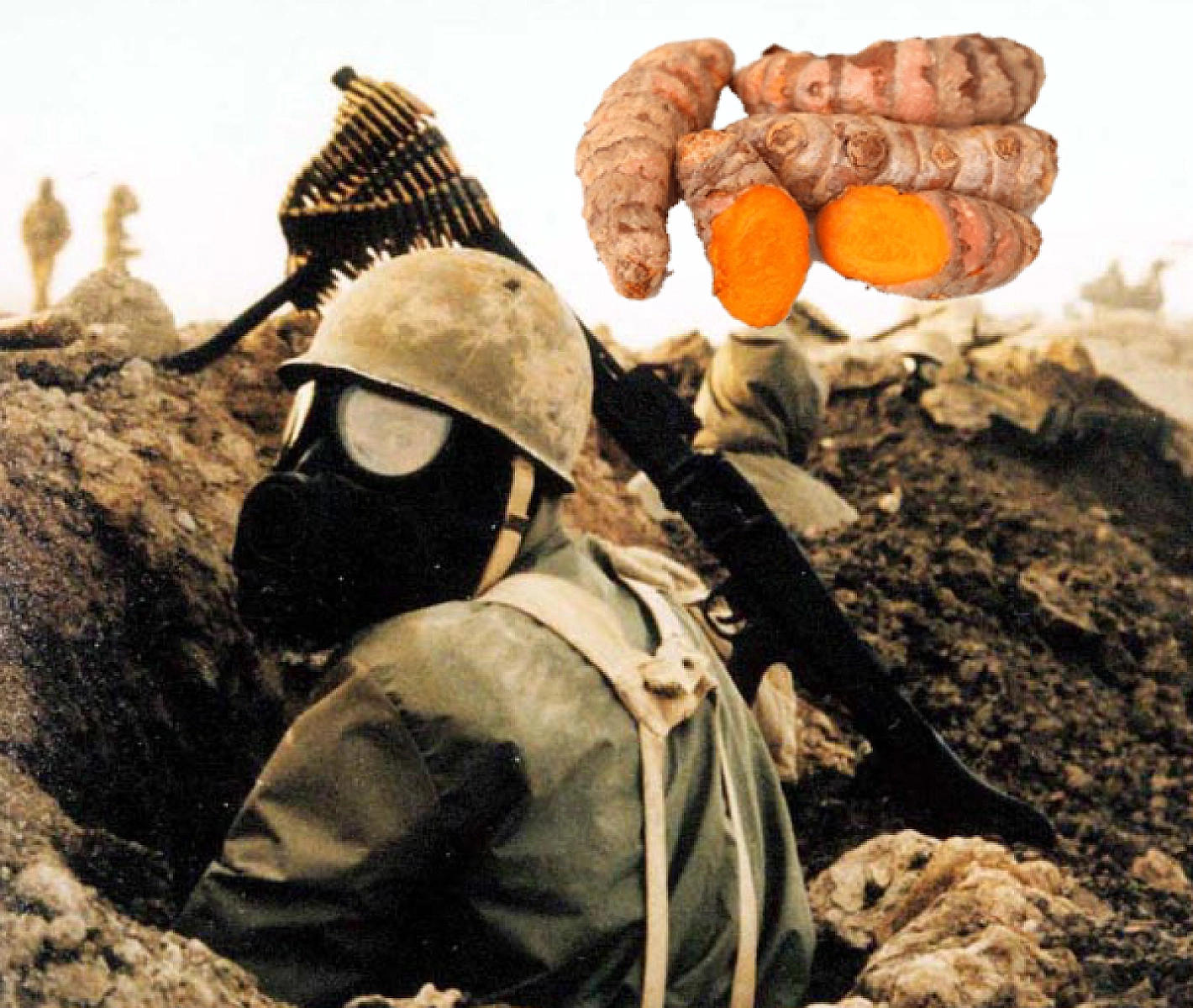 Turmeric Compounds Alleviate Chemical Weapons Injury
