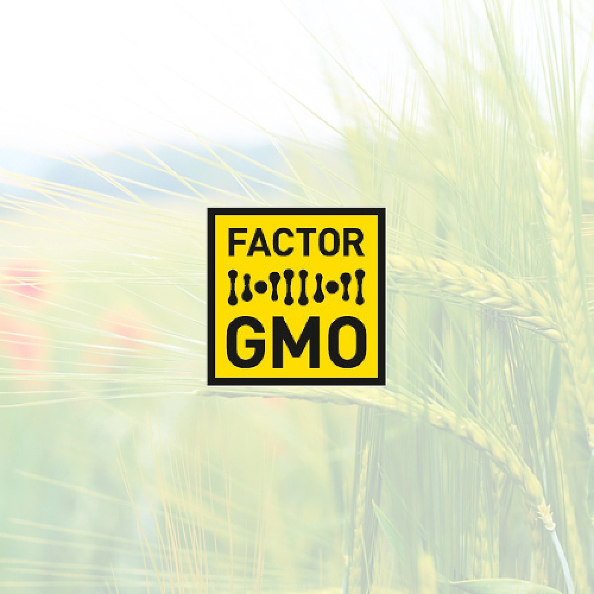 World’s Largest Ever Study on GMO, Pesticide Safety Launched in London