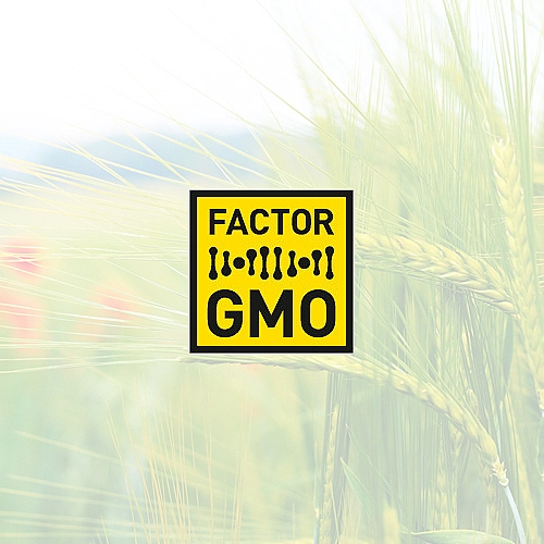 World’s Largest Ever Study on GMO, Pesticide Safety Launched in London