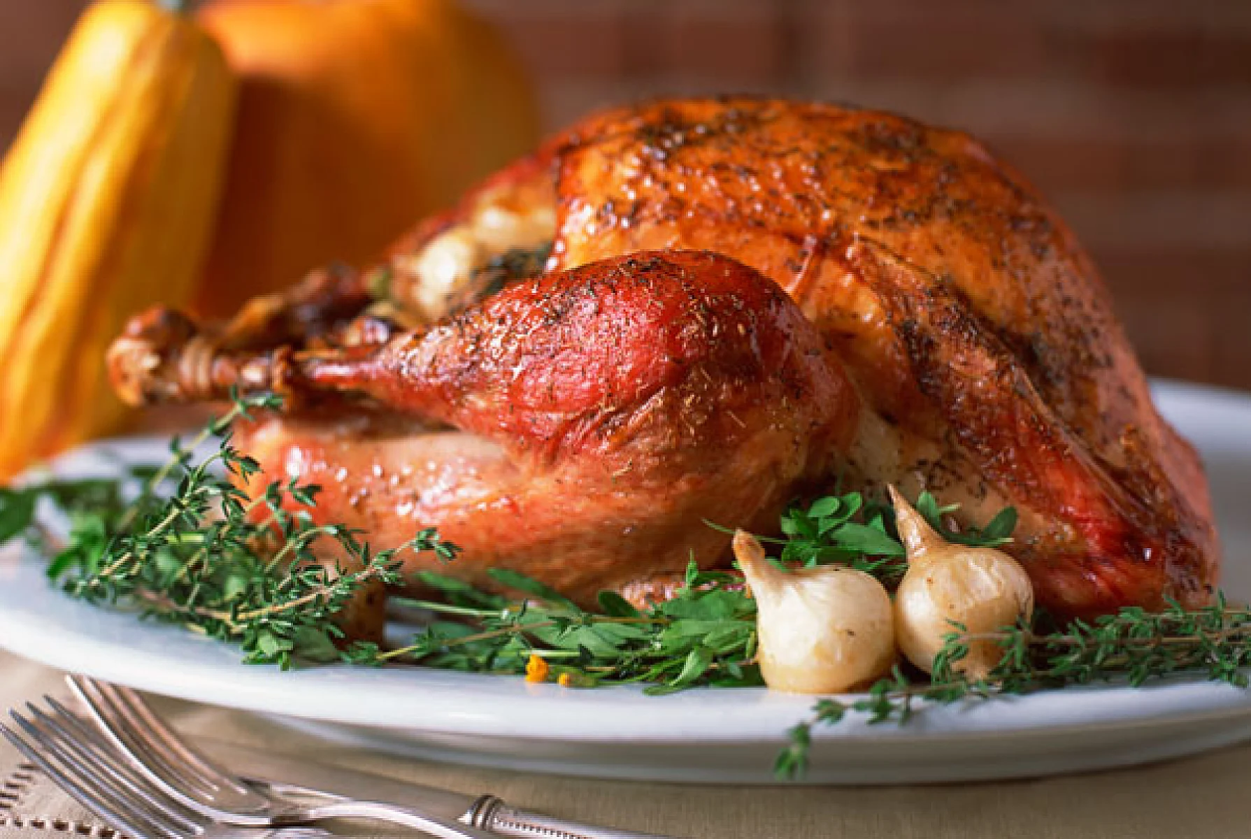 What’s On Your Plate?