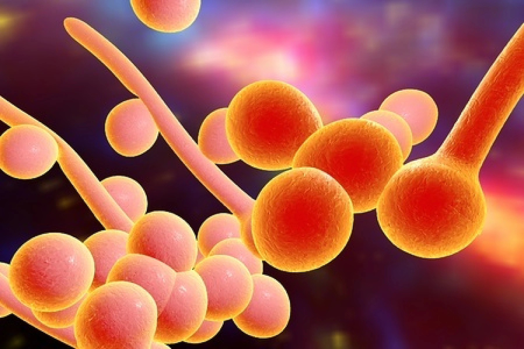 Chemotherapy-Induced Toxicity:  Cyclophosphamide
