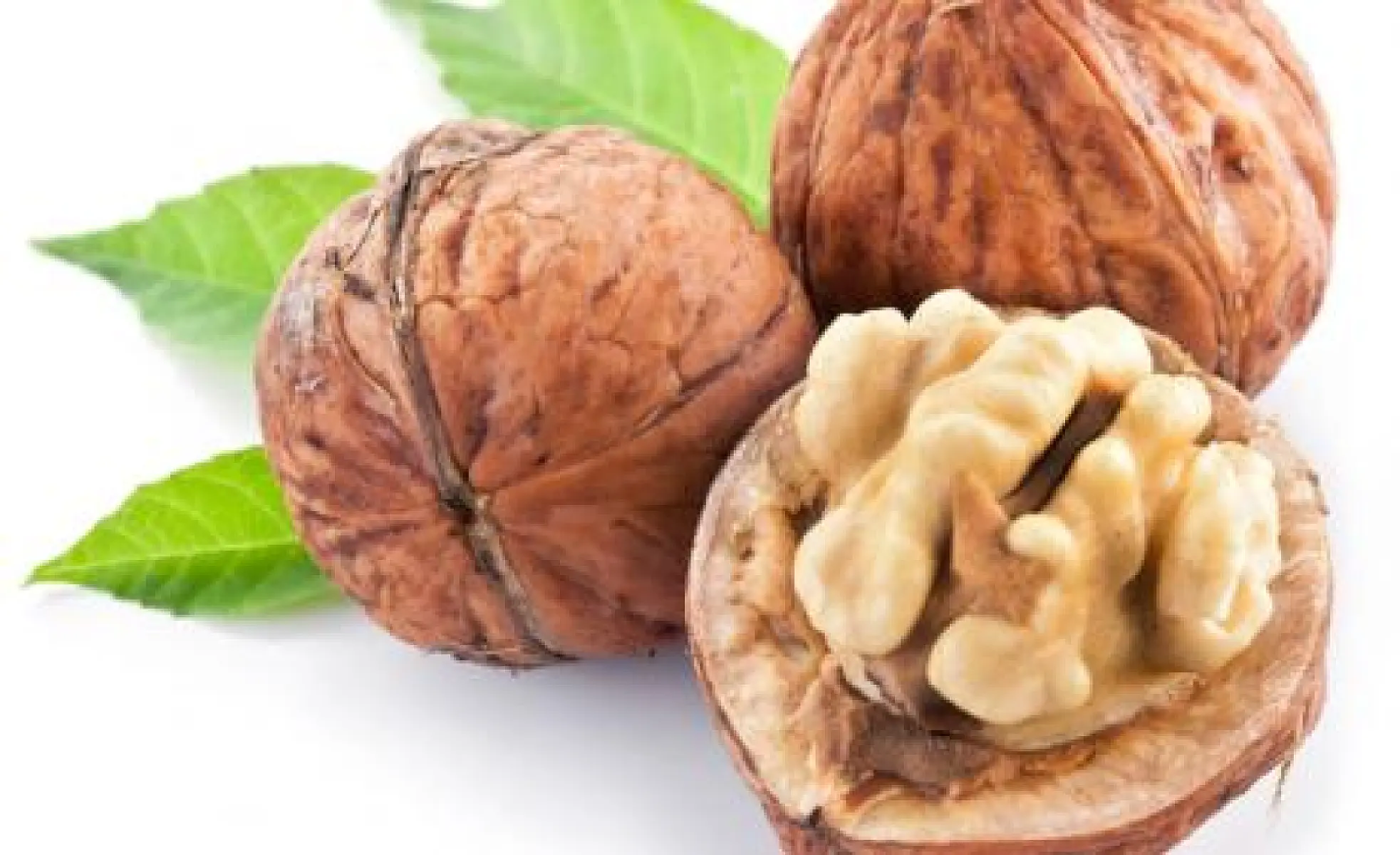 13 Healthy Reasons to Eat More Walnuts