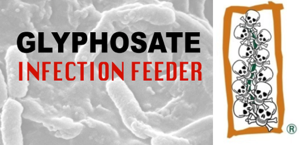 Roundup 'Weedkiller' Feeds Antibiotic Resistant Bacteria, Study Finds