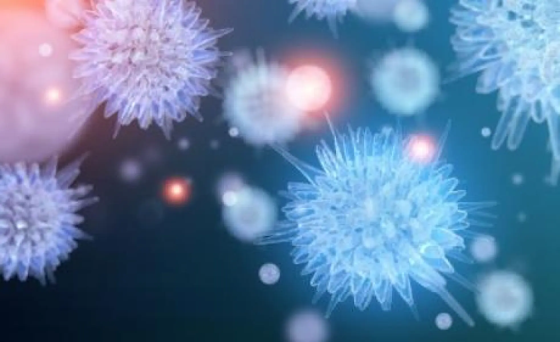 Licorice Shown to Kill SARS and Other Lethal Viruses
