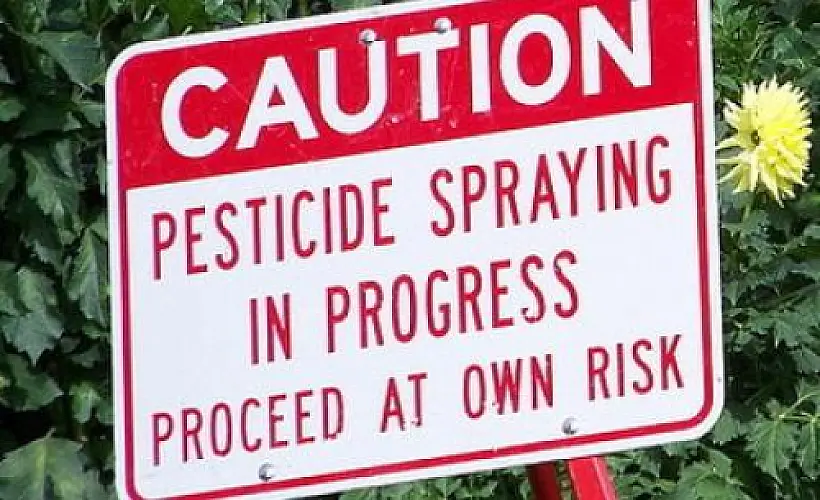 Foods that Contain the Highest Amount of Pesticides 