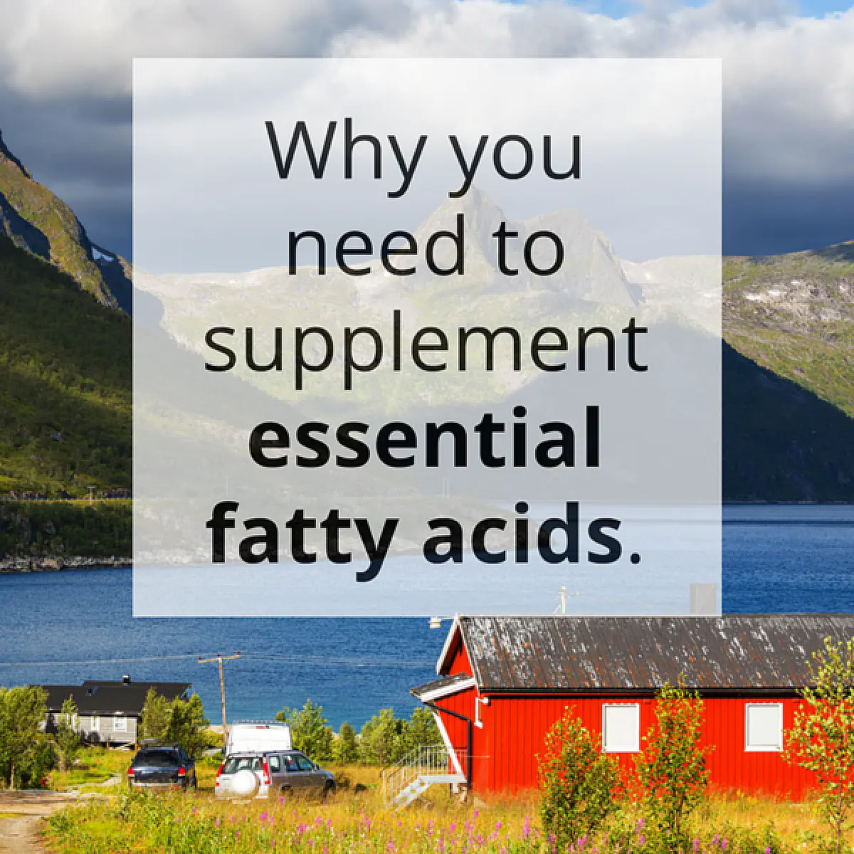 Why You Need To Supplement Essential Fatty Acids